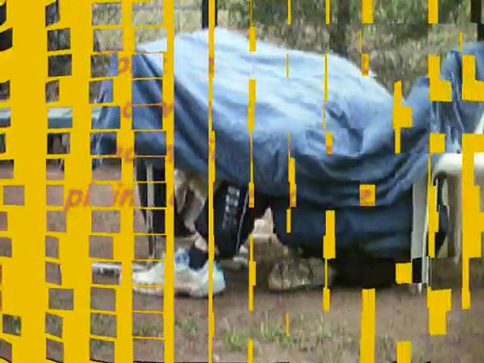 croustille femelle golden des eaux vives de tourtour