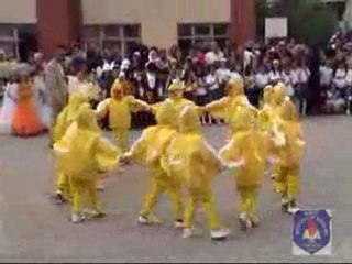 Seka Çocuk Dostları Anasınıfı Ördek Dansı