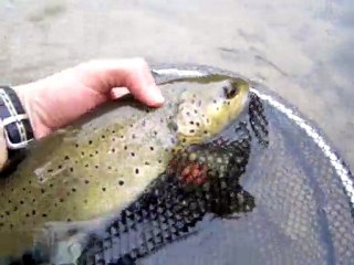 Elle était bien là !