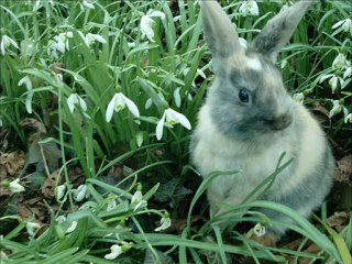 Séance d'obstacle des Pinoux (la première)