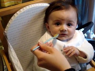 Ma Première Compote