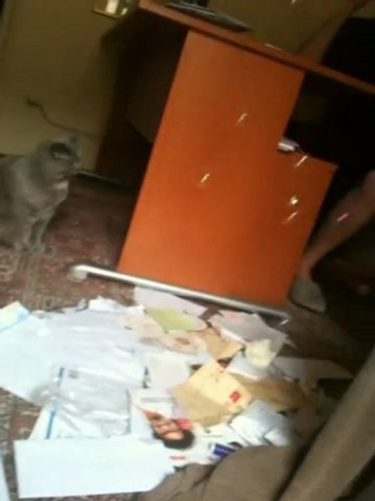 Bubble and the Bubbles