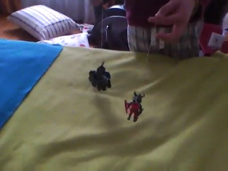 les 2 chevaliers
