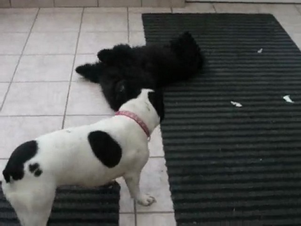 Black et lola