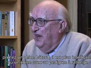 andrea camilleri question 7