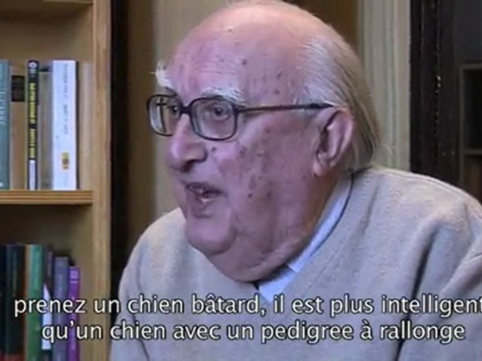 andrea camilleri question 7