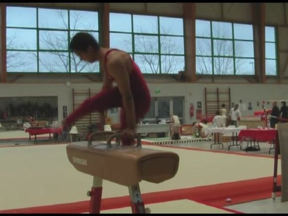 BreizhCup - Cheval d'Arçons