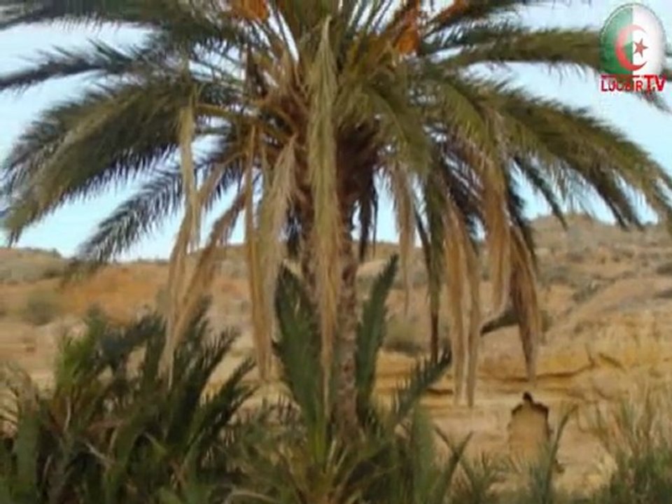 EDDIS BEN ZOUH .. 01