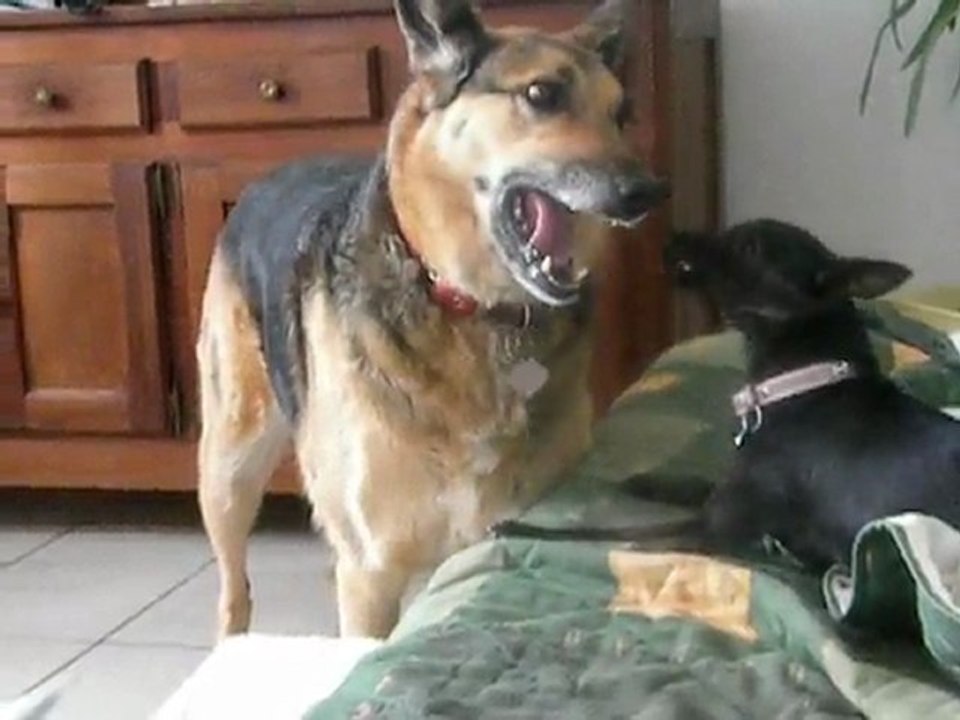Le grand Amour 1