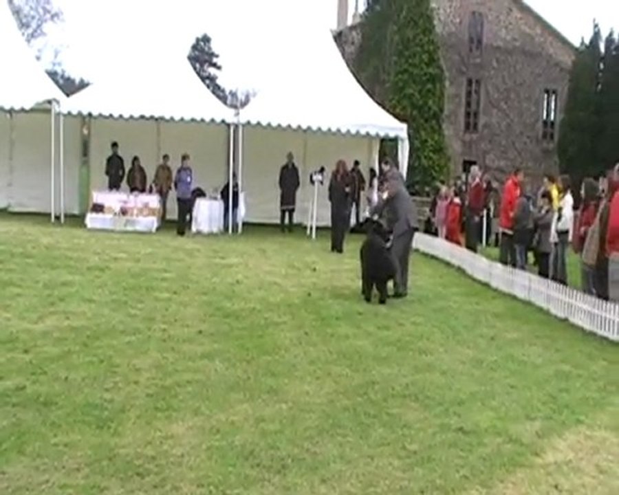 nationale-Esp2010-Femelles