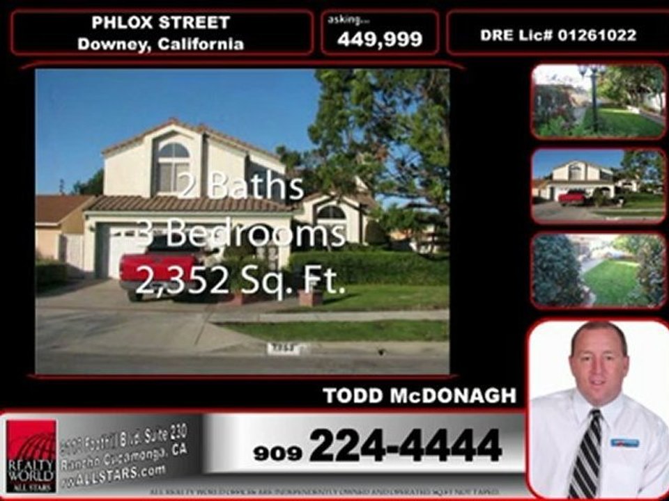 Phlox in Downey CA rwallstars Todd McDonagh