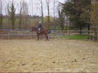 trot et diagonale