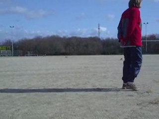 Concours canin classe 3