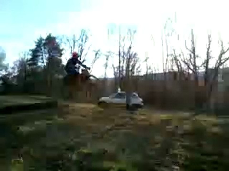 bigarat5