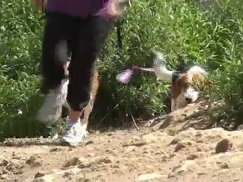 Cari Ham - 6 months post achilles tendon rupture going ...