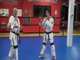Round Kick and Front kick combination training