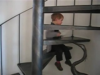 marius 29 mois SOLO BATTERIE