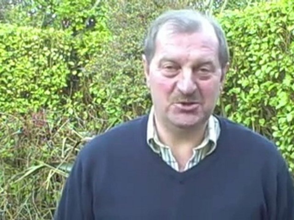 Multilevel Marketing Mlm Looking For Instant Results?