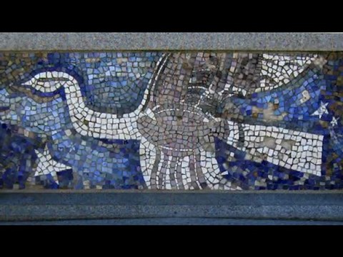 Shooting with Canon PowerShot SX 210 IS or IXUS 210 IS