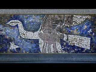 Shooting with Canon PowerShot SX 210 IS or IXUS 210 IS