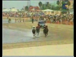 2007.08.24, nº 360 SLB (Tio Pepe, 2a) Fany Horse