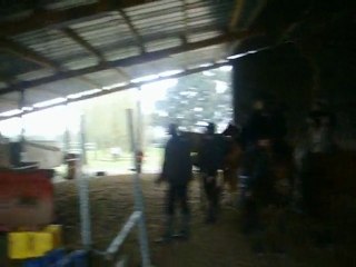 Moi & Pomard sur 1m15