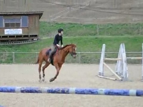 Détente (séance obstacle du 21 mars 2010)