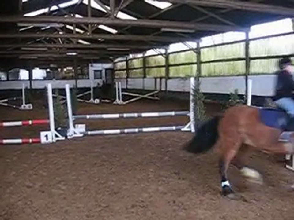 Concours equitation Dodo