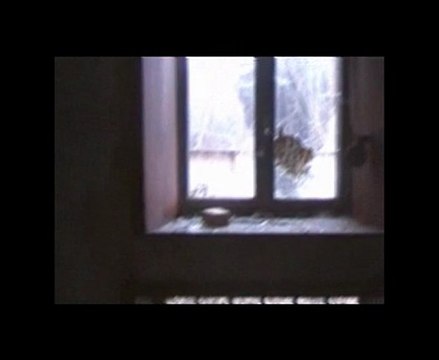 Investigation a Mont-St-Guibert SOS Chasseurs de fantomes N2