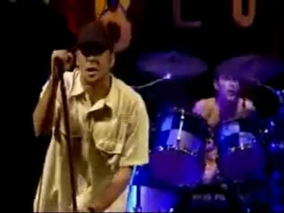 Pennywise - Peaceful day (live at House of Blues 2001)
