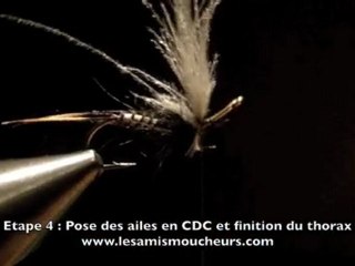 Montage d'une March Brown