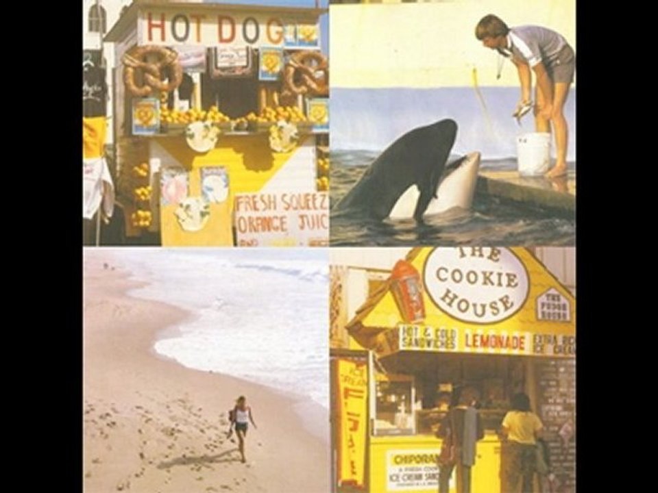 best coast - wish he was you