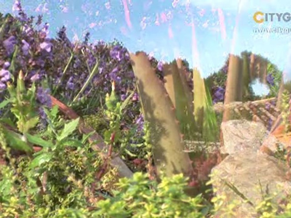 Restaurant 365, Palma de Mallorca