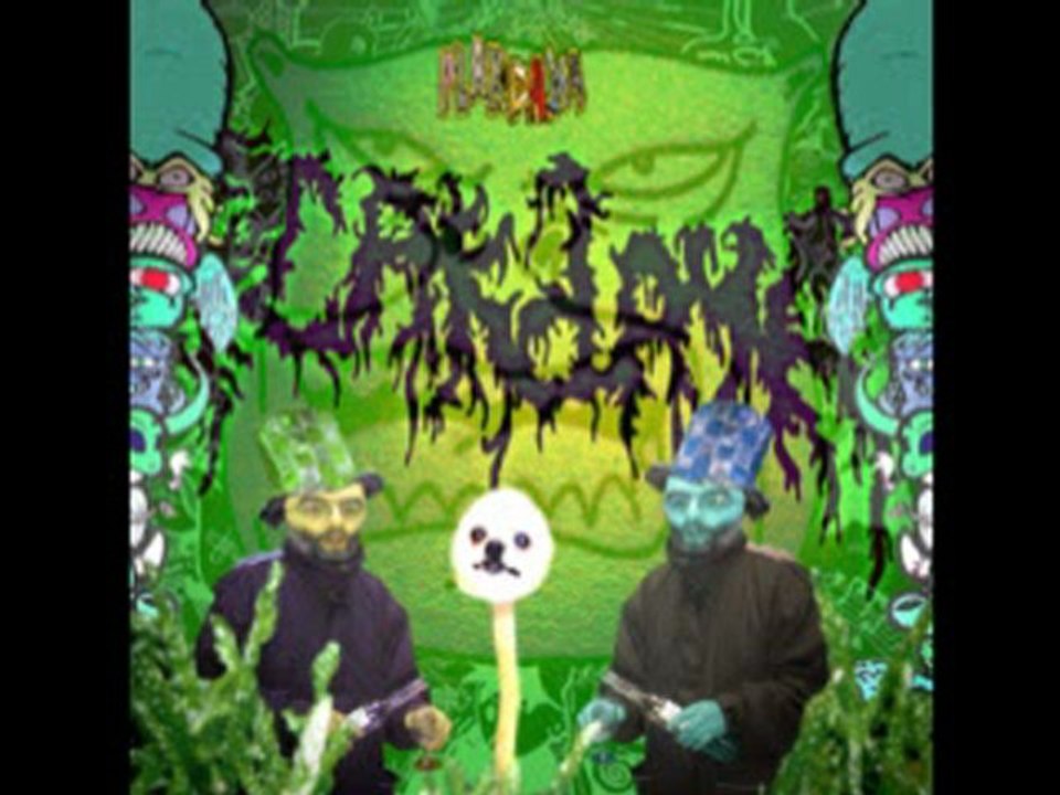 Zéflon6