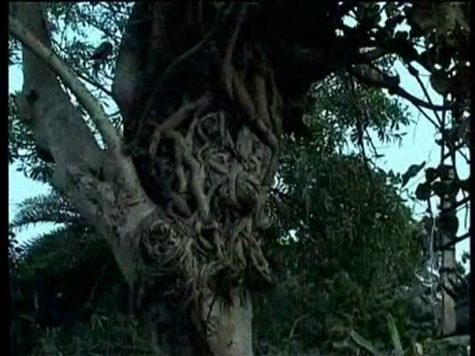 Aya Chand Mama(clip)