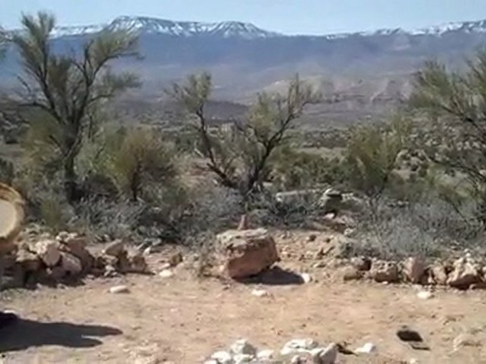 With Clay Miller in the circel