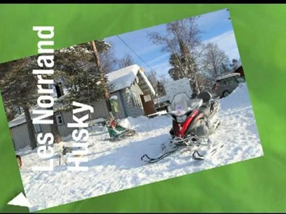 Raid en traineau à chiens à Drevdagen en suède. Norrland