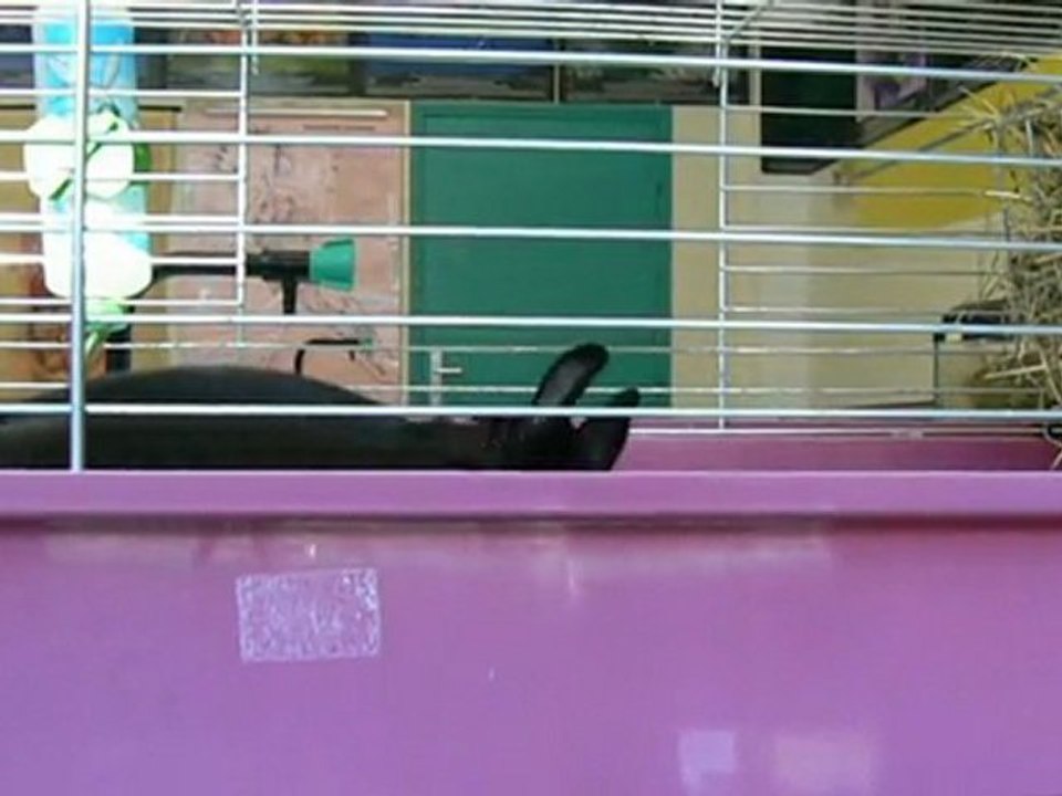 P1100314