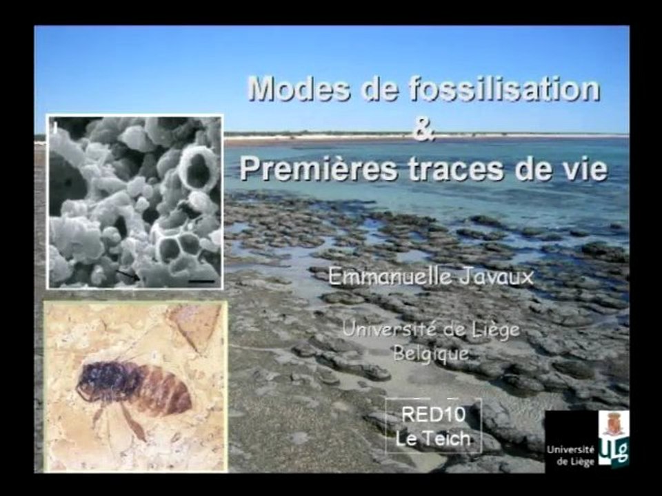 Emmanuelle Javaux :  Premières Traces de Vie