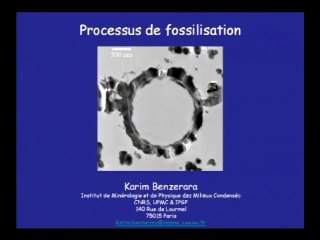 Karim Benzerara : Processus de Fossilisation