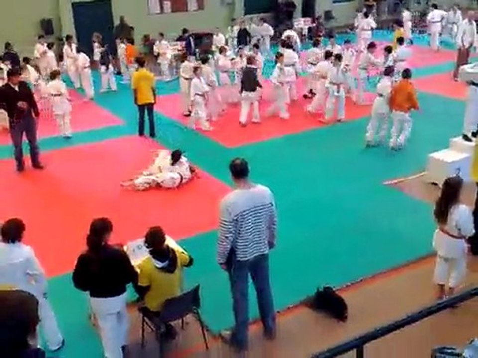 Messaouda judo chatenay malabry (chatillon 2010) N°3