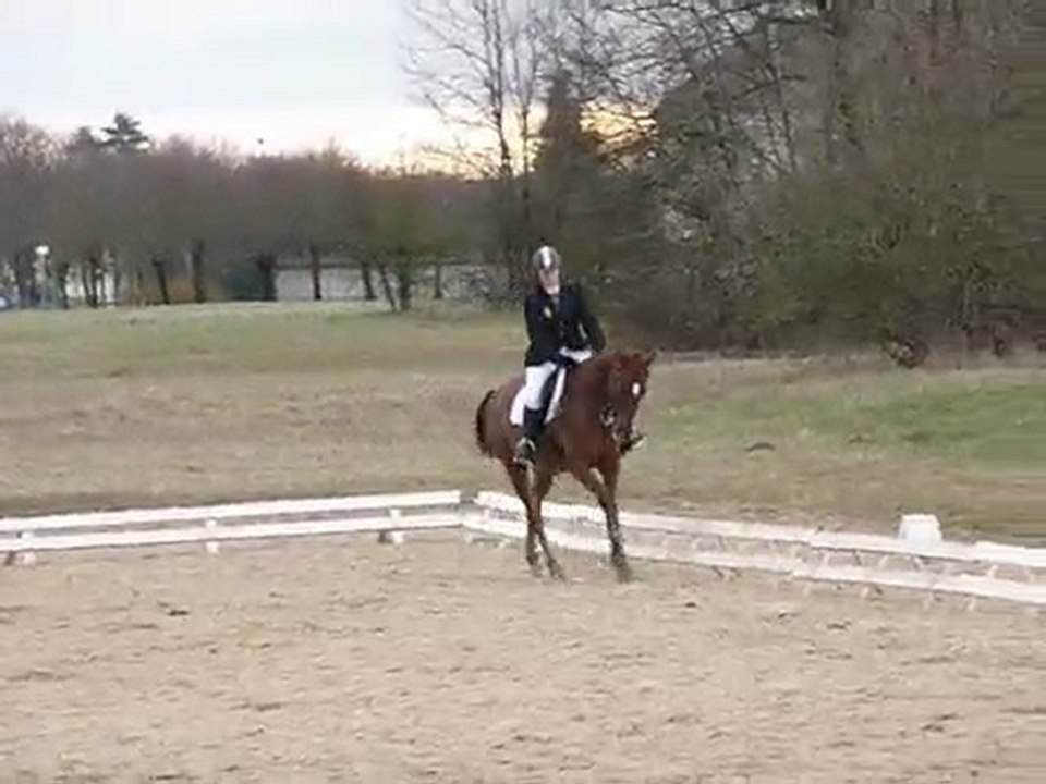 CCE Mourmelon 21 mars 2010 - dress Amateur 2 - Kronos