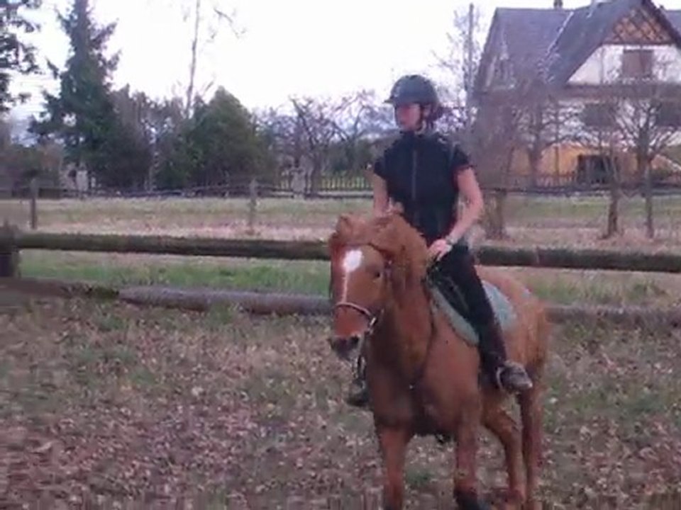 Pru : tronc + barrière