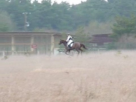 CCE Mourmelon 21 mars 2010 - cross Amateur 2 - Kronos