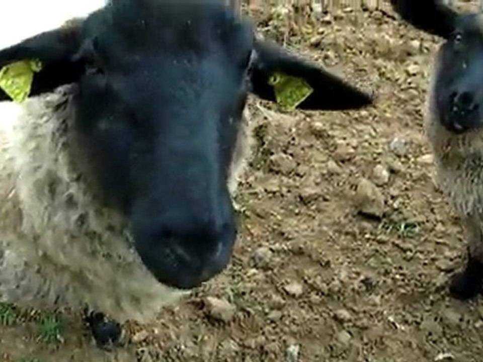 vie à la campagne bretonne