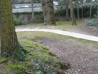 Tom et Colin au babybob le 21 mars 2010