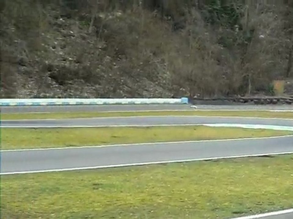 La mouette en action