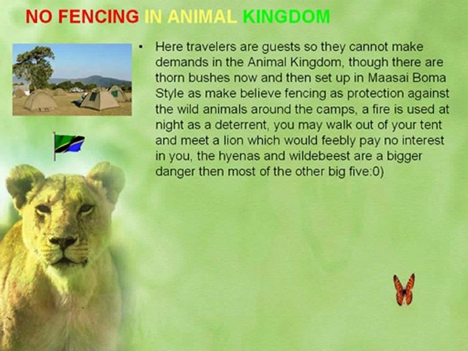 TANZANIA BUDGET CAMPING SAFARI JOINING OTHERS 3 DAY ...