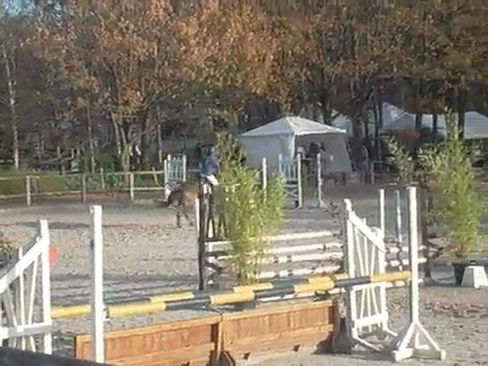 CSO POD3 Saran 22 novembre 2009