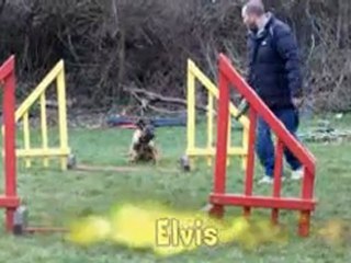 agility les débutants